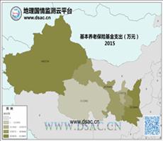 2015年养老基金支出