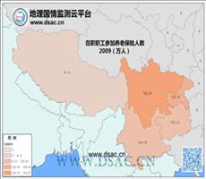 2009年西南在职职工养老保险人数